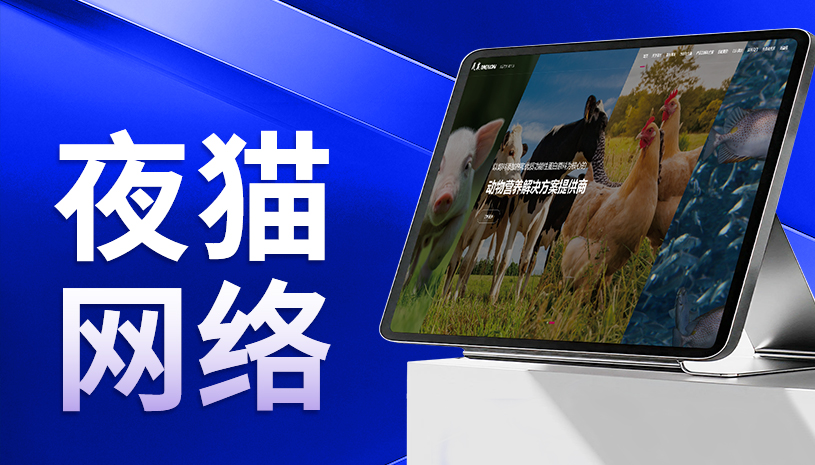 苏州网站建设公司